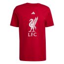 Liverpool DNA GR Tee 25 Liverpool DNA GR Tee 25